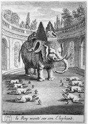 Le roi de Siam assis sur son éléphant, gravé par Cornelis Vermeulen, 1686